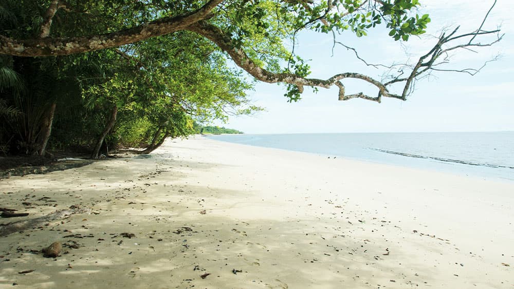 Gabon