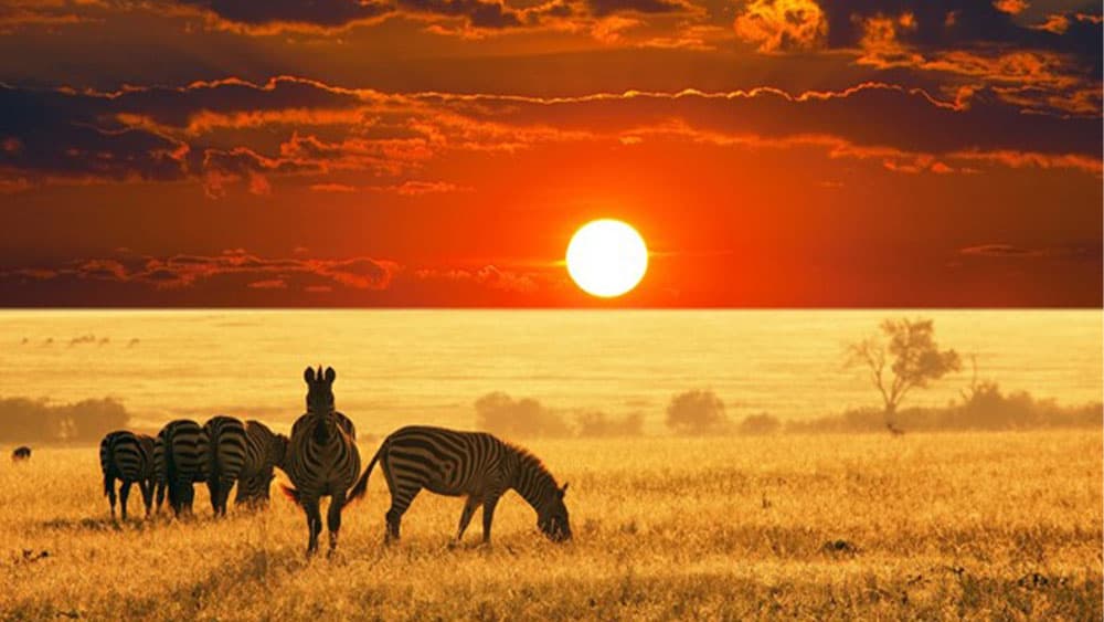 Orta Afrika Cumhuriyeti