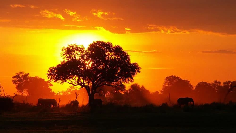 Congo