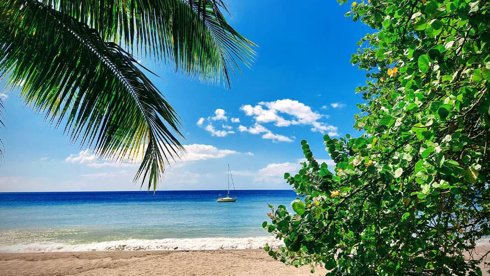 Martinique