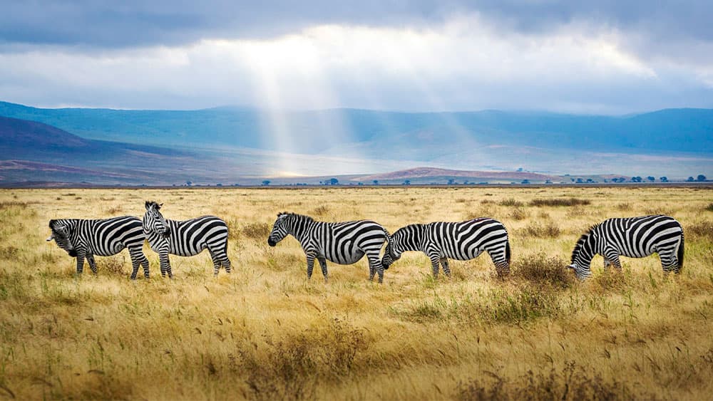 Tanzanija