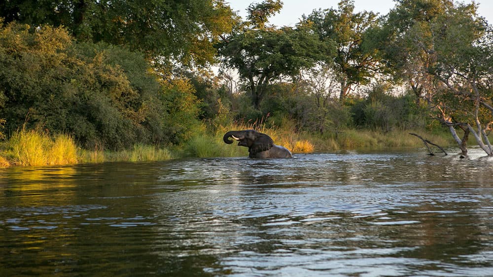 Zambia